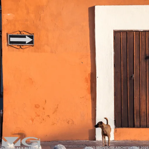 Über mich Über mich